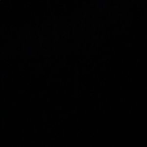 Meet your Posher, Will